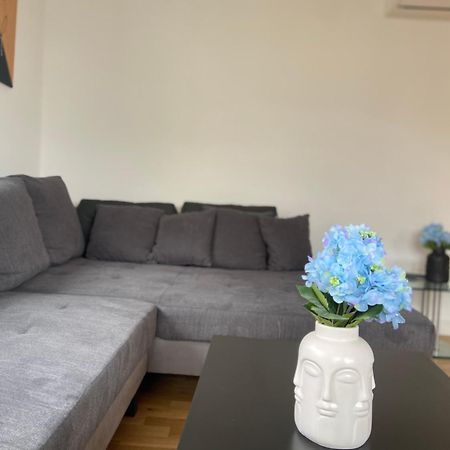 Luxury Apartment With Air Conditioning & Jaccuzzi Near Frankfurt Wiesbaden Гофгайм-ам-Таунус Екстер'єр фото
